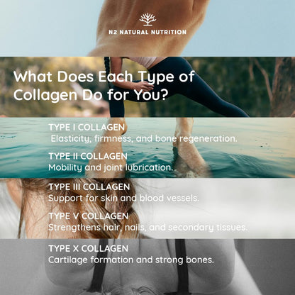 Multi Collagen 1650mg Type I, II, III, V, X. Bovine & Marine Collagen Peptides. 180 Capsules Enhanced with Vitamin C. High Strength Collagen for Joints, Hair and Skincare. N2 Natural Nutrition